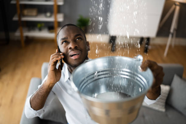 Best Basement water damage restoration  in Wyncote, PA