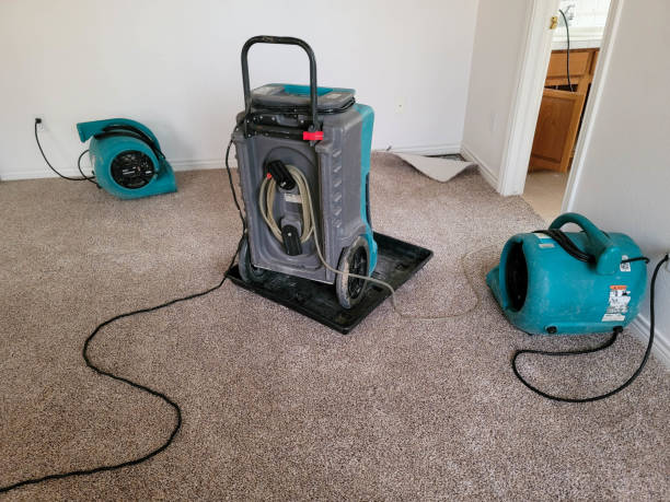  Wyncote, PA Water damage restoration Pros