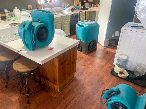Best Carpet water damage restoration  in Wyncote, PA