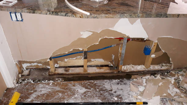 Best 24-hour water damage restoration  in Wyncote, PA