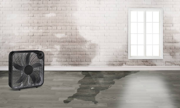 Best Ceiling water damage repair  in Wyncote, PA