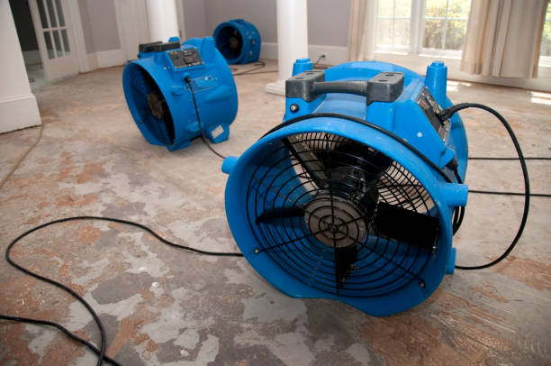 Trusted Wyncote, PA Water damage restoration Experts