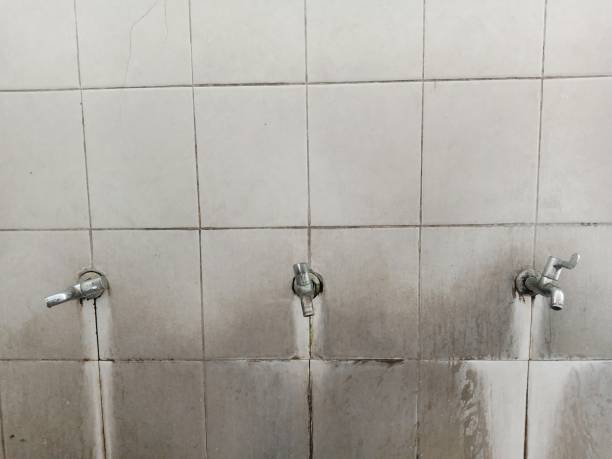 Best Mold removal after water damage  in Wyncote, PA