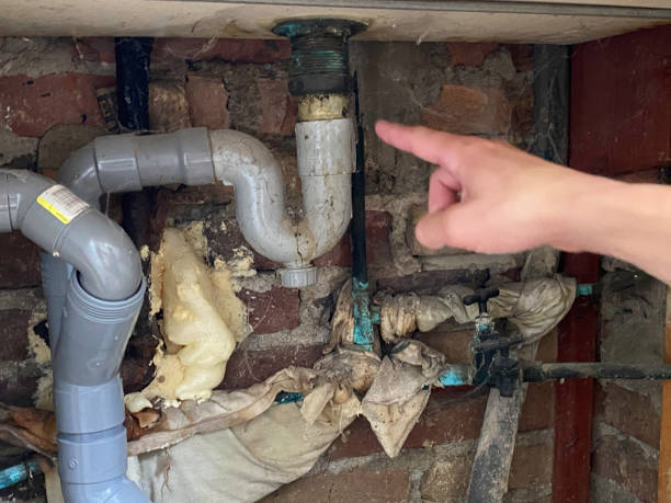 Best Water damage restoration cost  in Wyncote, PA