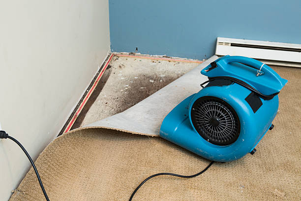 Best Flooded house restoration  in Wyncote, PA